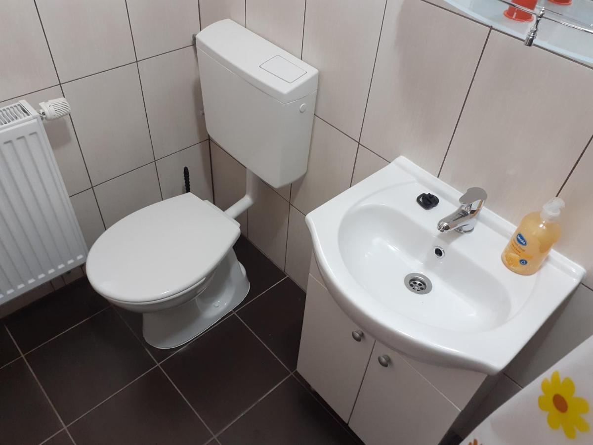 Kacso Apartma Ocna de Sus Экстерьер фото