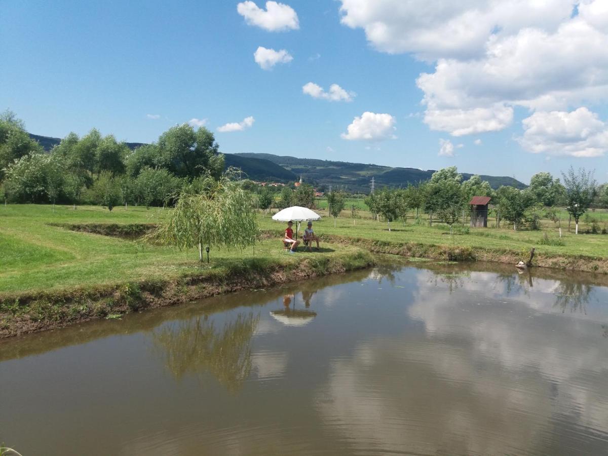 Kacso Apartma Ocna de Sus Экстерьер фото