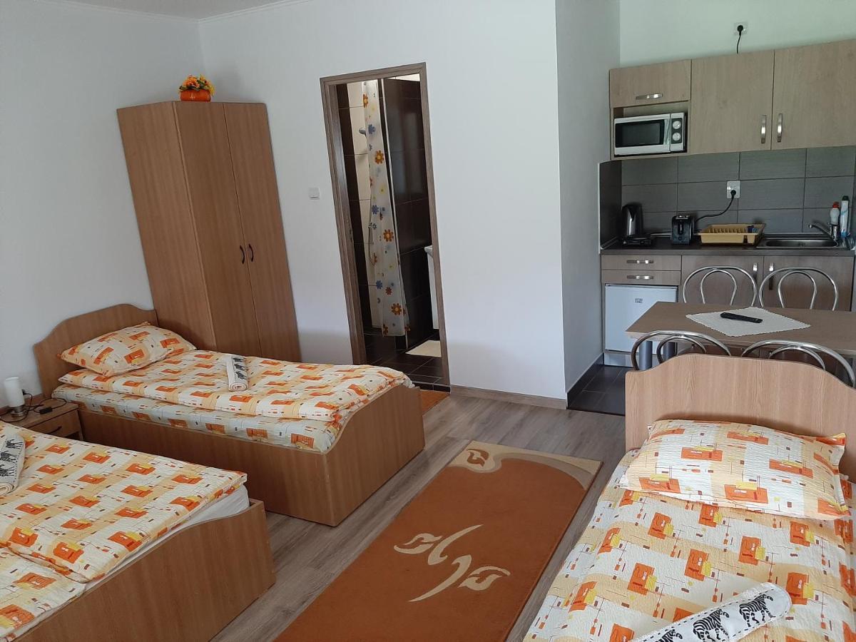 Kacso Apartma Ocna de Sus Экстерьер фото